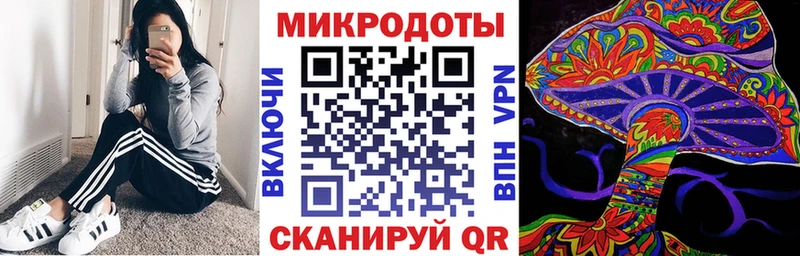 Псилоцибиновые грибы Psilocybine cubensis  Брюховецкая 